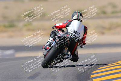 media/Oct-08-2022-SoCal Trackdays (Sat) [[1fc3beec89]]/Turn 11 Backside (1145am)/